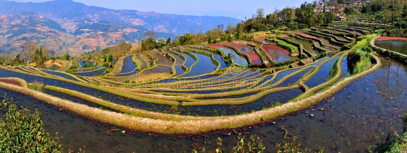 Vue de terrasse de la Chine Yunnan Hani image stock Vue de terrasse de la Chine Yunnan Hani image stock