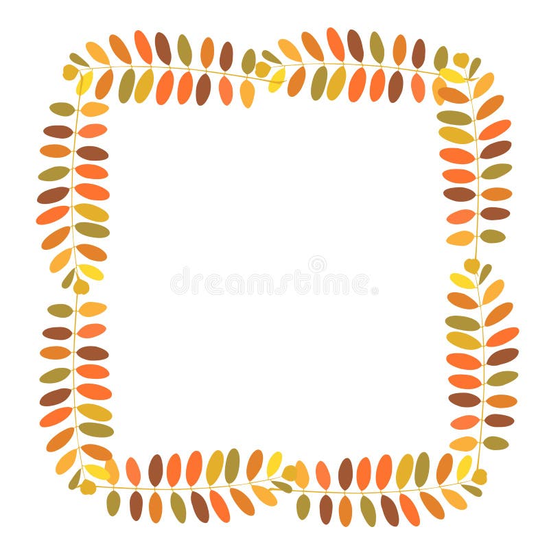 Vue des branches d'automne d'acacia illustration de vecteur Vue des branches d'automne d'acacia illustration de vecteur