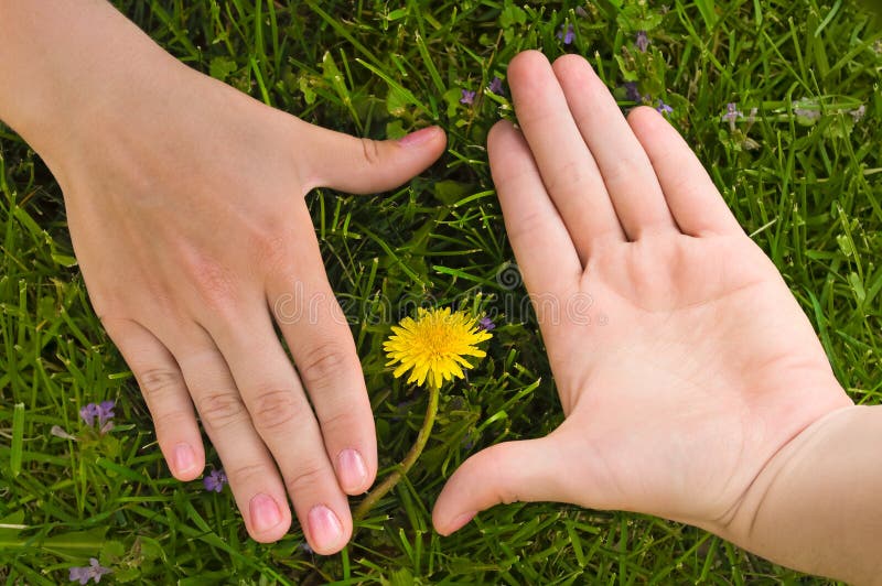 Vue des mains humaines image stock Vue des mains humaines image stock