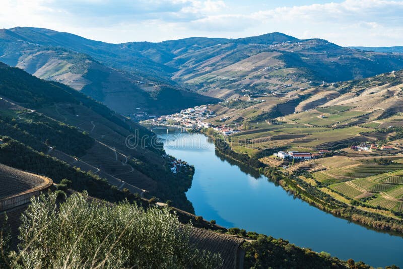 Vue des vignobles en terrasse dans la vallée de Douro images stock Vue des vignobles en terrasse dans la vallée de Douro images stock