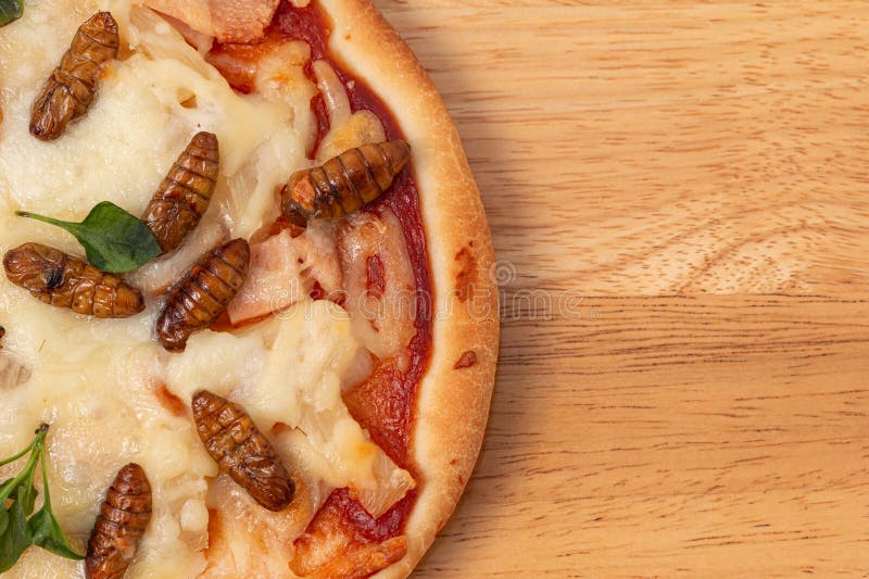 Vue du haut des tranches de délicieuse pizza insecte sont visuellement attrayant avec les couleurs contrastées et le fromage fondu photographie stock
