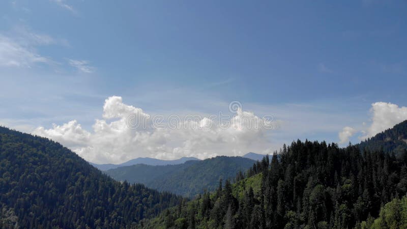 Vue du matin des montagnes du haut du mont. Beau paysage d'été près de forêt.