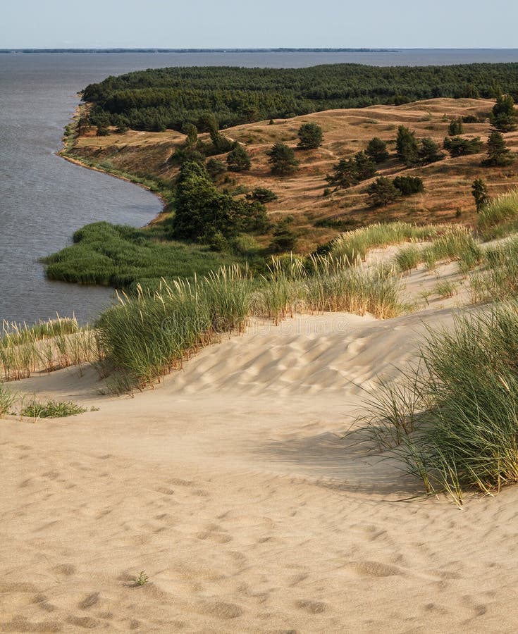 View from the Dune Nagliu of the Curonian Lagoon, Curonian Spit, Lithuania. View from the Dune Nagliu of the Curonian Lagoon, Curonian Spit, Lithuania