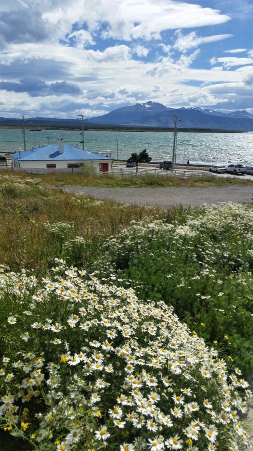 Vue du port et des montagnes de Puerto Natales près de parc national de Torres del Paine, Patagonia Chili photo libre de droits Vue du port et des montagnes de Puerto Natales près de parc national de Torres del Paine, Patagonia Chili photo libre de droits