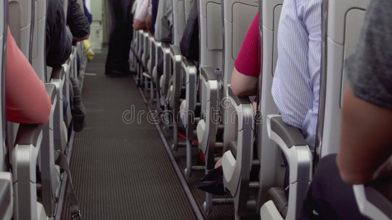 Vue intérieure de bas-côté d'avion pendant le vol Les passagers dans leurs sièges, équipage de carlingue commence le service banque de vidéos