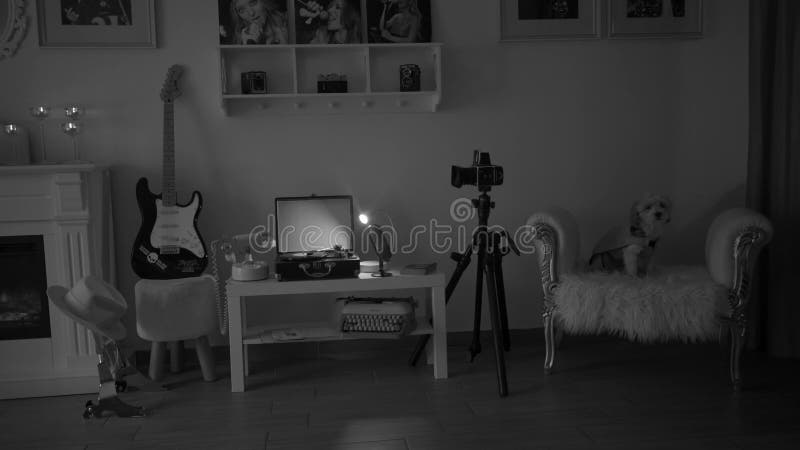 Vue intérieure en nuances de gris d'objets vintage dans une salle chaleureuse éclairée par un mobilier moderne banque de vidéos