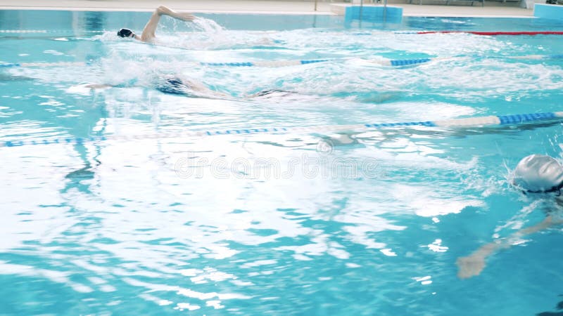 Vue latérale des athlètes nageant dans les couloirs d'une piscine clips vidéos