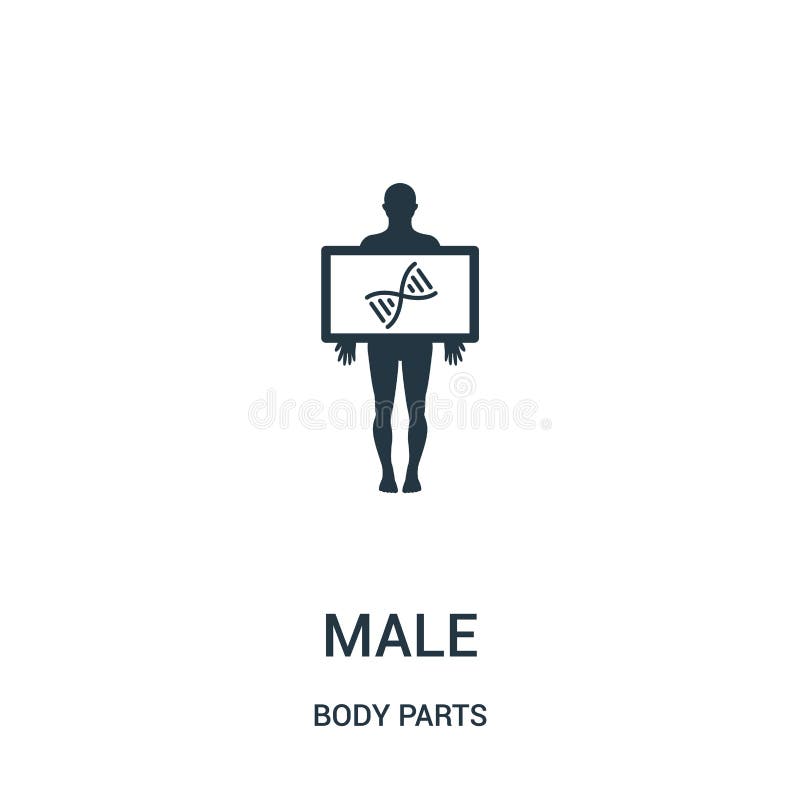 vue masculine d'apparence de silhouette de vecteur d'icône de structure d'ADN de collection de parties du corps Ligne mince vue m illustration libre de droits vue masculine d'apparence de silhouette de vecteur d'icône de structure d'ADN de collection de parties du corps Ligne mince vue m illustration libre de droits