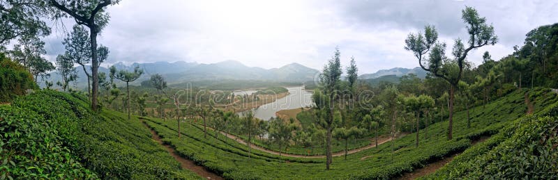 Vue panoramique dans Munnar dans Ghats occidental, Kerala photo stock Vue panoramique dans Munnar dans Ghats occidental, Kerala photo stock