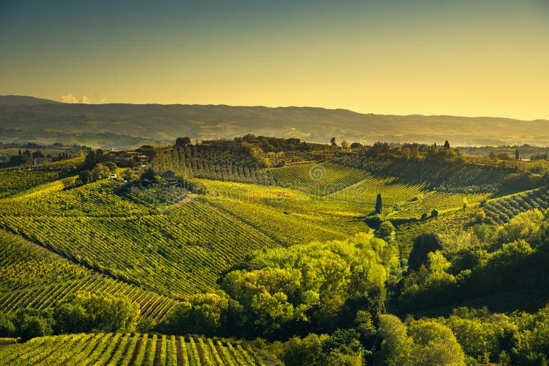 Vue panoramique des vignobles de campagne et de chianti de San Gim photos stock Vue panoramique des vignobles de campagne et de chianti de San Gim photos stock