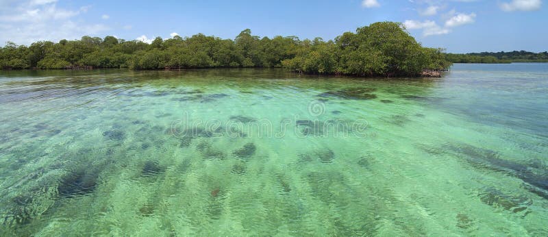 Vue panoramique sur l'eau peu profonde image libre de droits Vue panoramique sur l'eau peu profonde image libre de droits