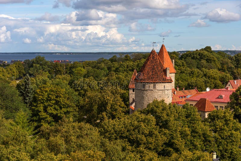 Vue panoramique étonnante du mur de ville et ville de tours de la vieille de Tallin, Estonie image libre de droits Vue panoramique étonnante du mur de ville et ville de tours de la vieille de Tallin, Estonie image libre de droits