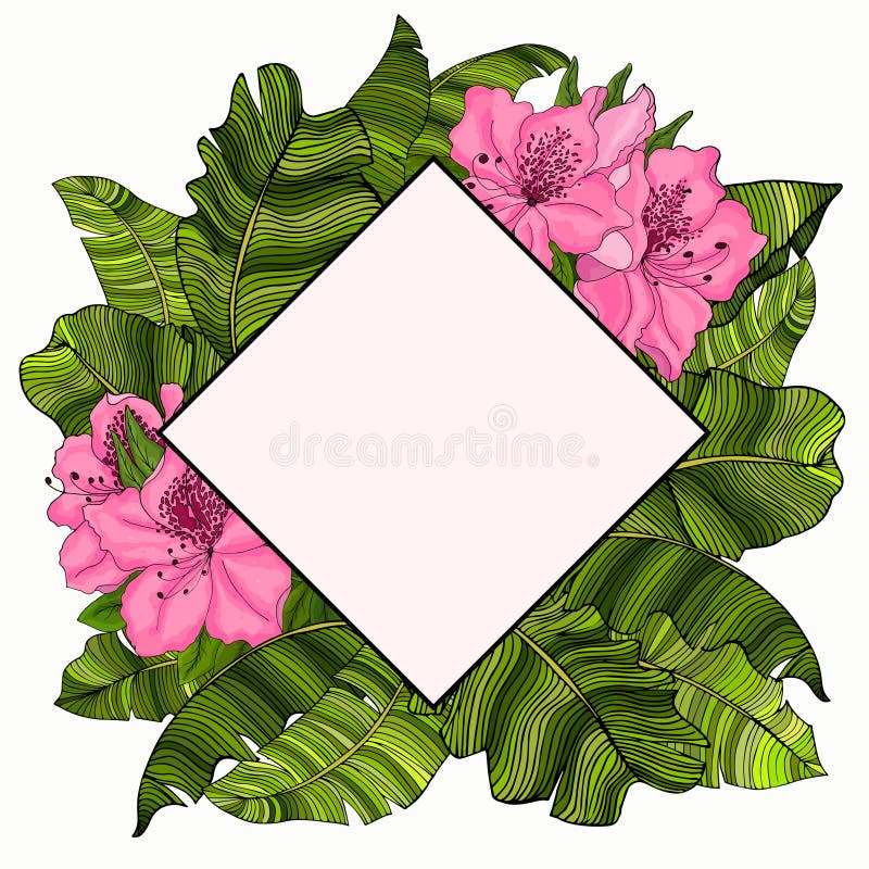 Vue pour le texte dans la conception des feuilles multicolores et vertes d'un bananier et des fleurs roses d'azalée illustration libre de droits Vue pour le texte dans la conception des feuilles multicolores et vertes d'un bananier et des fleurs roses d'azalée illustration libre de droits