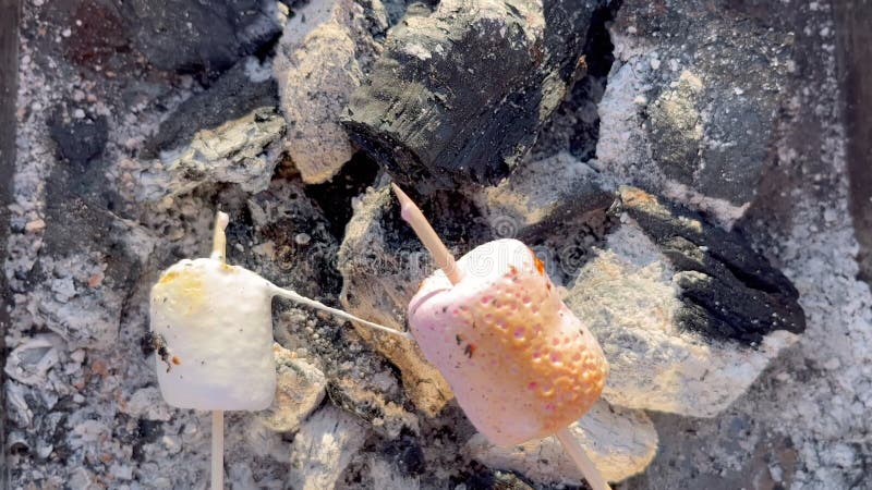 Vue rapprochée des marshmallows grondant sur des charbons. marshmallows roses et blancs grillés sur charbon vidéo résolution 4k banque de vidéos