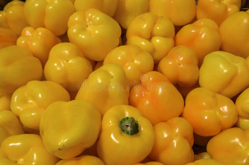 Vue rapprochée des poivrons jaunes frais sont densément emballés créant une texture riche et colorée photo stock