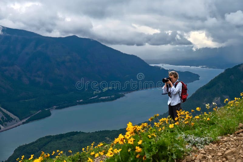 Vue scénique de hausse et de photographie de femme de Moyen Âge de gorge du fleuve Columbia dans les prés alpins avec des fleurs images stock Vue scénique de hausse et de photographie de femme de Moyen Âge de gorge du fleuve Columbia dans les prés alpins avec des fleurs images stock