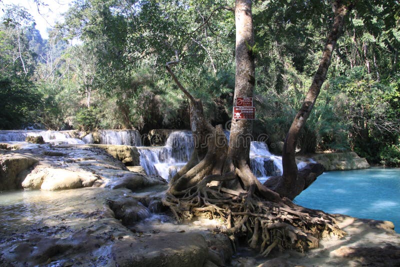 Vue scénique sur les cascades et la piscine bleue naturelle des cascades idylliques de Kuang Si dans la jungle photo libre de droits Vue scénique sur les cascades et la piscine bleue naturelle des cascades idylliques de Kuang Si dans la jungle photo libre de droits