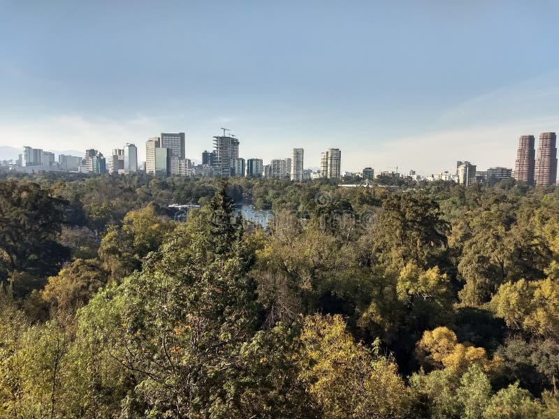 Vue Skyline de Mexico City avec une zone densément boisée au premier plan probablement Chapultepec Park images libres de droits