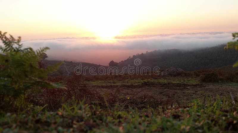 Vue statique au coucher du soleil à serra de monchique dans les montagnes de l'algarve au portugal banque de vidéos
