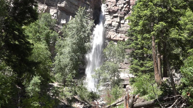Vue statique cascade tombe à travers les arbres ouray colorado 4k clips vidéos