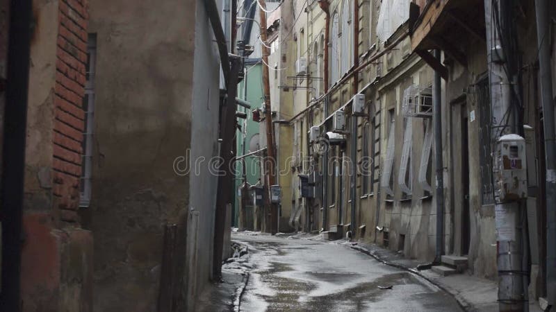 Vue statique cat running street alley avec belle architecture maisons géorgiennes. banque de vidéos