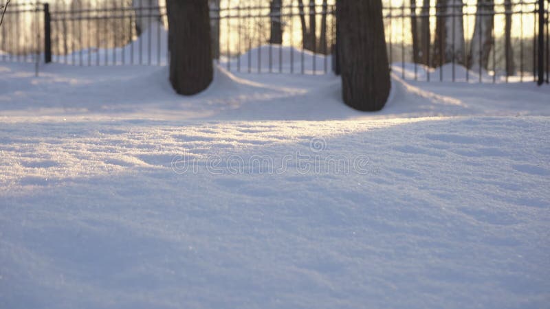Vue statique des ruches recouvertes de neige pendant la saison hivernale clips vidéos
