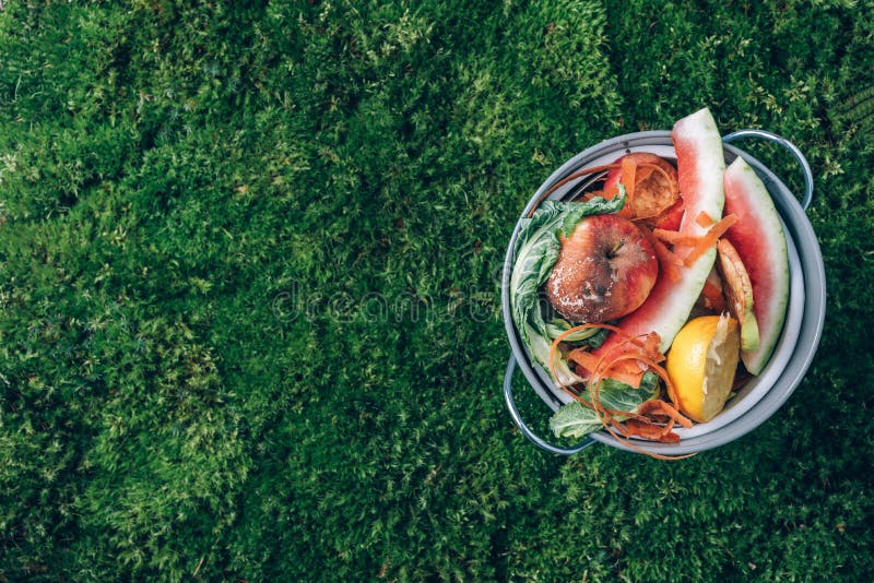 Vue Supérieure. Déchets De Cuisine Collectés Dans Un Pot De Compost De  Recyclage. Légumes épluchés Dans La Benne à Compost Sur La Photo stock -  Image du ordures, peau: 213641090