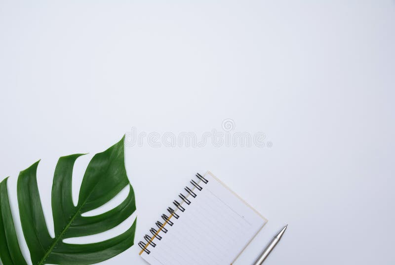 Cahier ouvert sur une page blanche avec un stylo Stock Photo