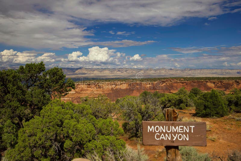 weathertracker monument colorado