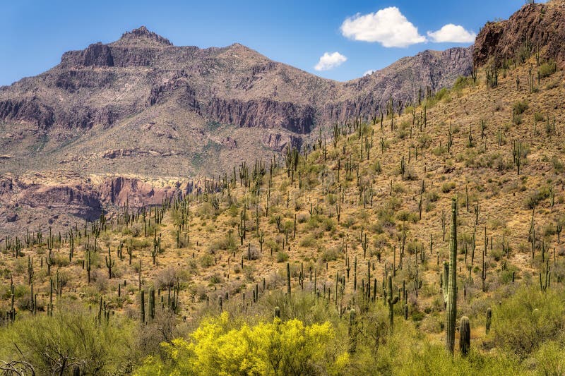 Vue sur le parc régional de peralta. Vue du parc régional de peralta dans le désert de sonoran près de phoenix arizona