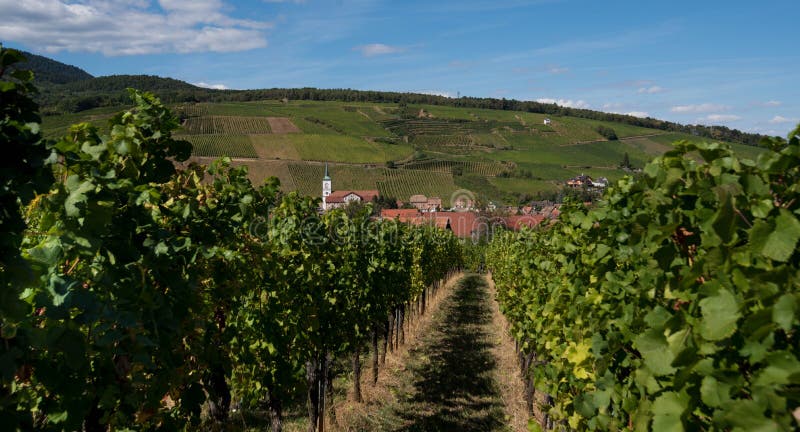 Vue à Barr en Alsace image stock Vue à Barr en Alsace image stock