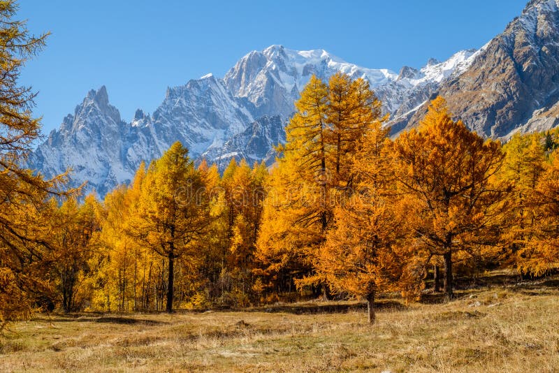 Vue à l'automne de Mont Blanc Vallée de furet de l'Italie Coumayeur images libres de droits Vue à l'automne de Mont Blanc Vallée de furet de l'Italie Coumayeur images libres de droits