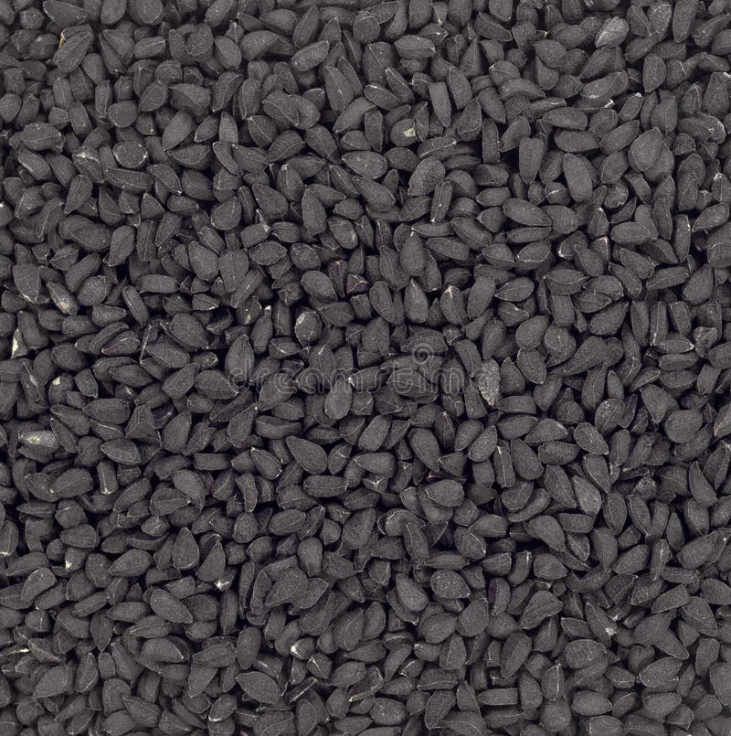 Vue étroite De Graines De Cumin Noir Photo stock Image 43505616