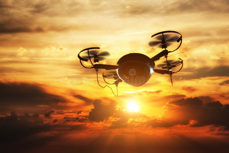Vuelo del abejón en la puesta del sol Sun que brilla en el cielo dramático stock de ilustración