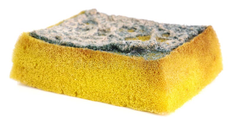 Old dirty sponge on a white background. Old dirty sponge on a white background