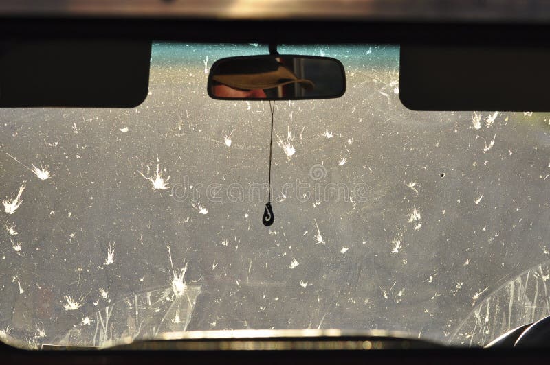 Dirty windscreen of a safari vehicle. Dirty windscreen of a safari vehicle