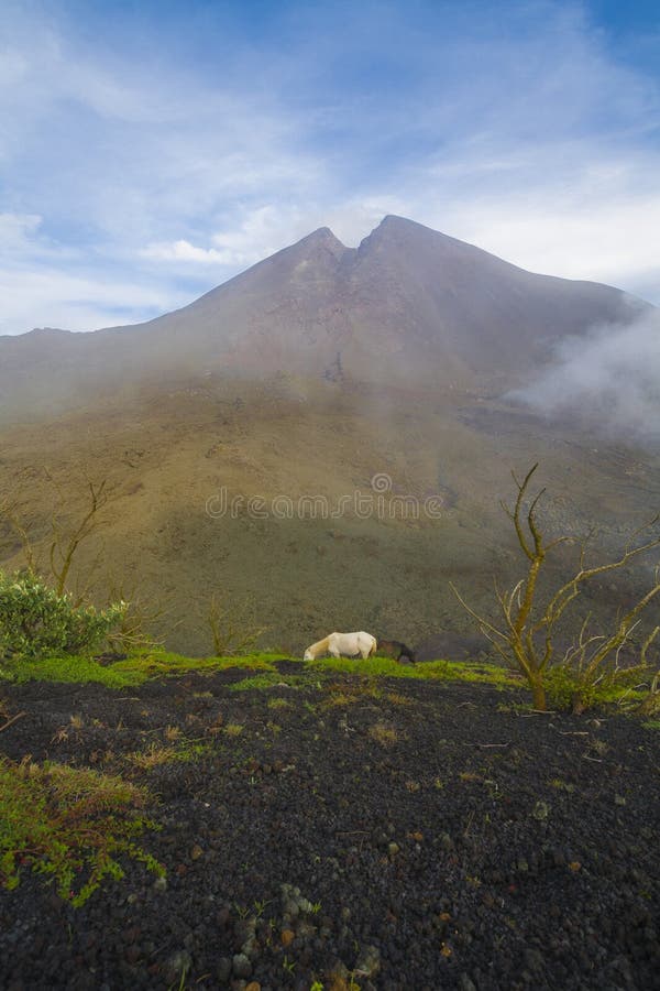 Vulcano nel Guatemala immagine stock libera da diritti Vulcano nel Guatemala immagine stock libera da diritti