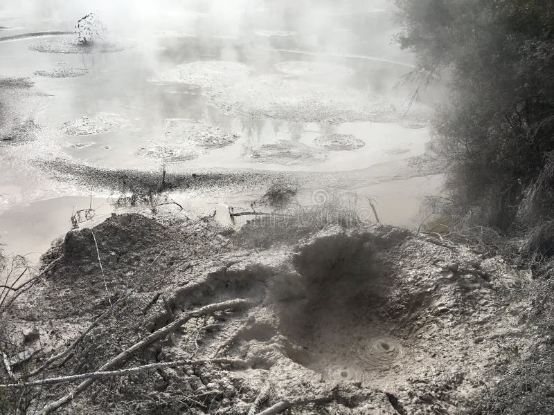 Vulkanisk varm gyttja Rotorua Nya Zeeland fotografering för bildbyråer Vulkanisk varm gyttja Rotorua Nya Zeeland fotografering för bildbyråer