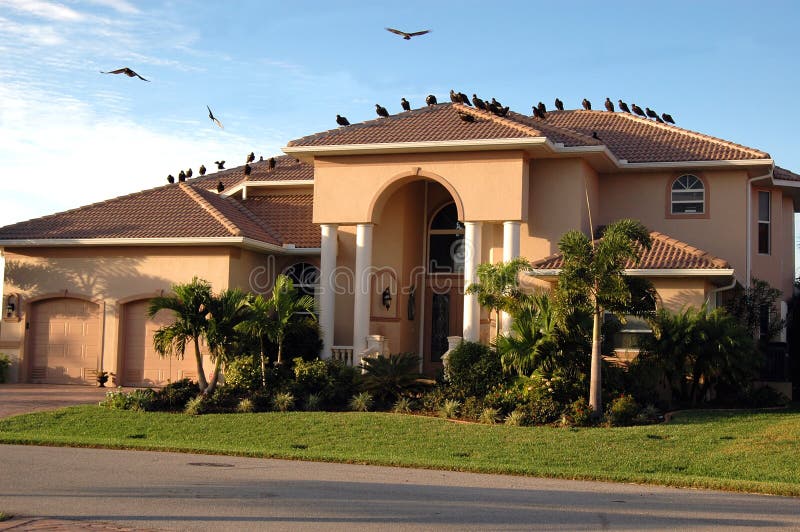 Vultures on house (foreclosure)