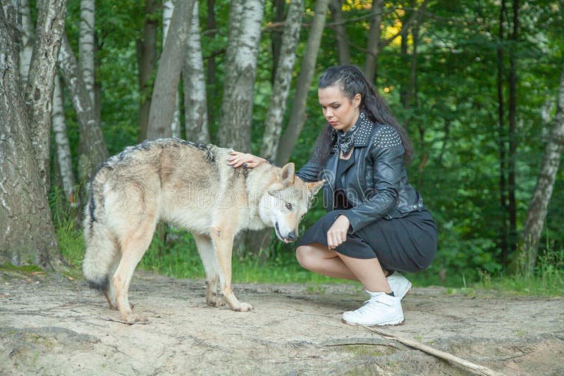 Vuxen, vacker modellflicka med äkta blandning av varg- och hunddjur. Ung kvinna med Volkosobs varghund på naturens gång och nav