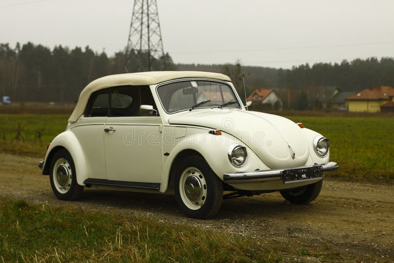 Vw beetle