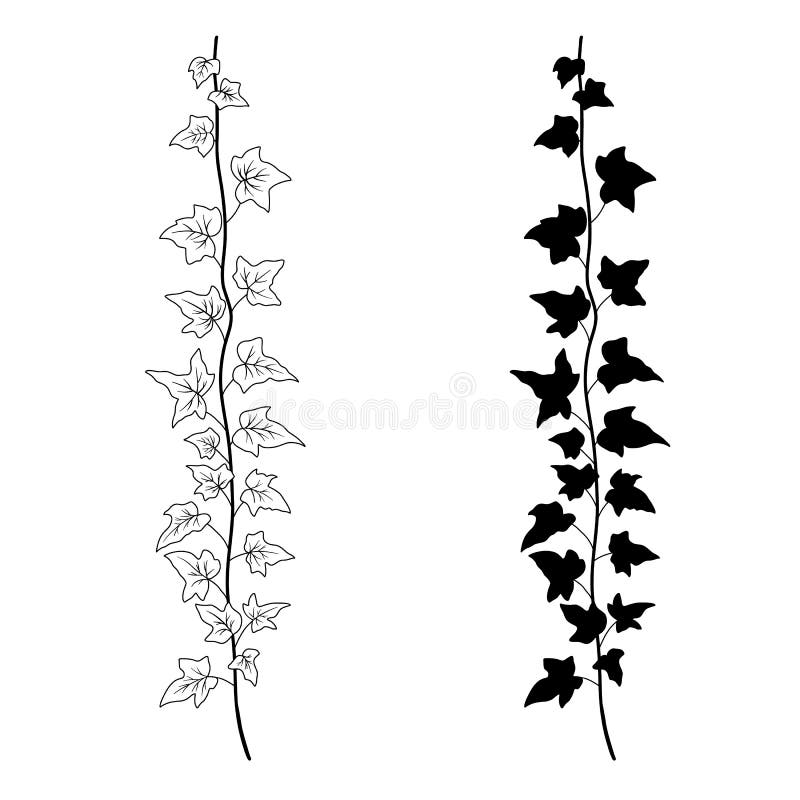 Vy-filialkonst och silhuette. botanisk skiss med vektor som är monokrom och isolerad på vitt. gräsmantväxt royaltyfri illustrationer