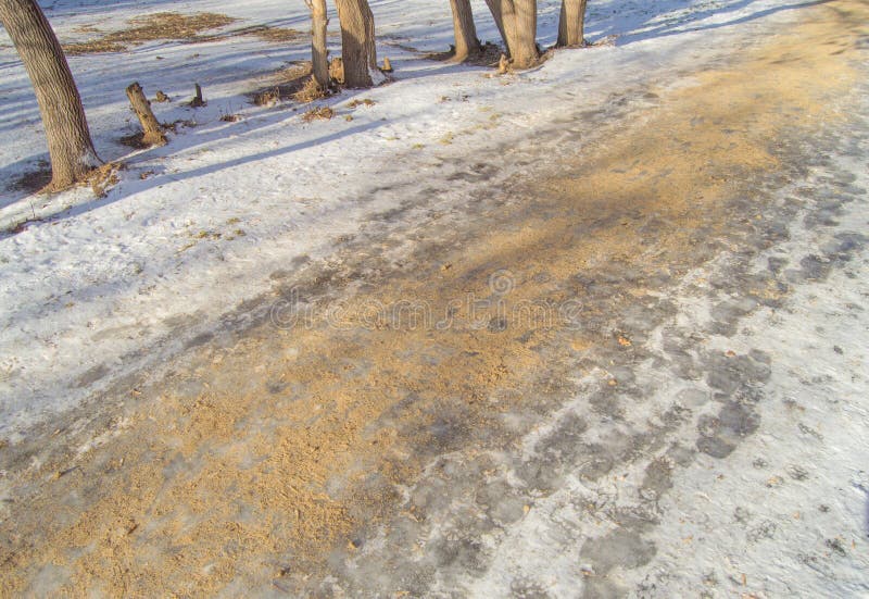 Vägen i Park täckas med sand, kampen mot is och faran av skadan på en hal väg royaltyfri foto Vägen i Park täckas med sand, kampen mot is och faran av skadan på en hal väg royaltyfri foto