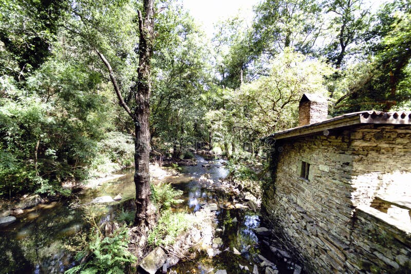 Vägg av ett gammalt lantligt stenhus bredvid en bergflod med l royaltyfri fotografi Vägg av ett gammalt lantligt stenhus bredvid en bergflod med l royaltyfri fotografi
