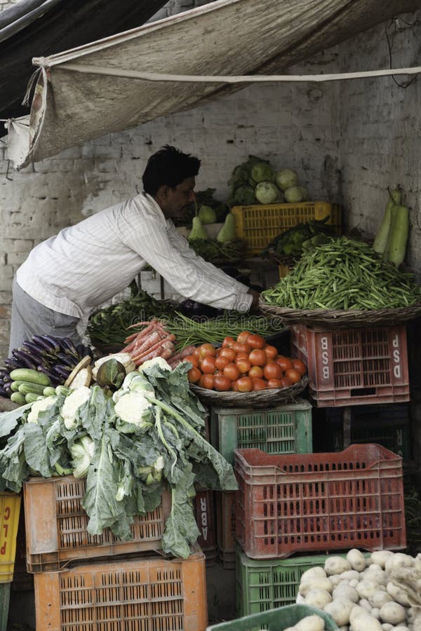 A grocer in Varanasi tends to his street stall of fresh vegetables. He takes great pride in his display. A grocer in Varanasi tends to his street stall of fresh vegetables. He takes great pride in his display.