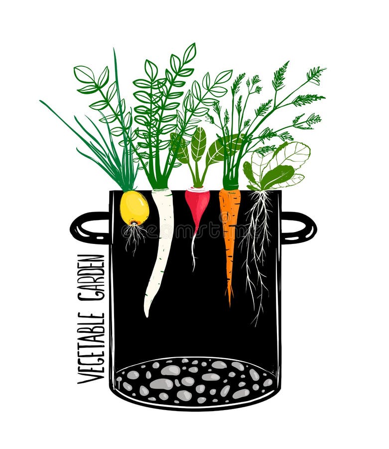 Food illustration in black ink and colors. Vector EPS8. Food illustration in black ink and colors. Vector EPS8