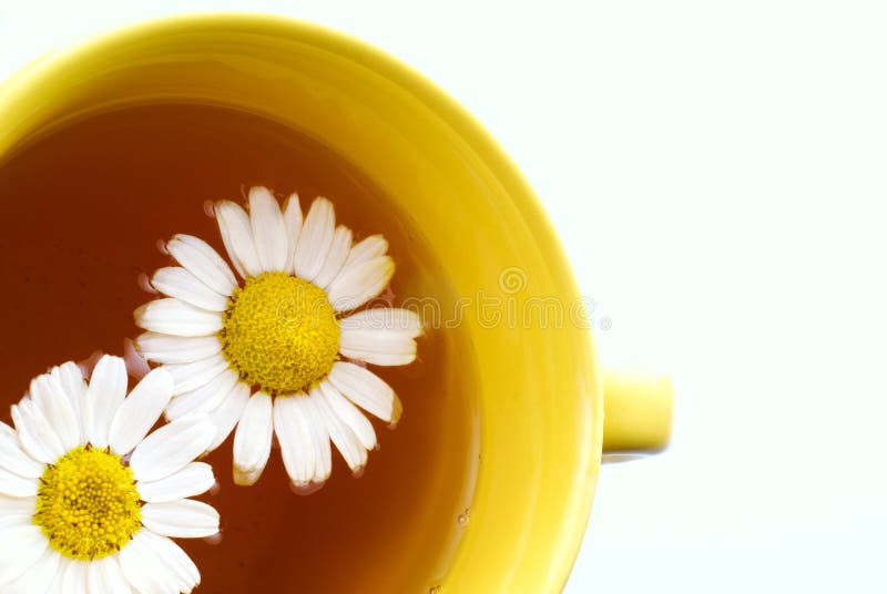 Växt- isolerad tea för bakgrundschamomile royaltyfria foton