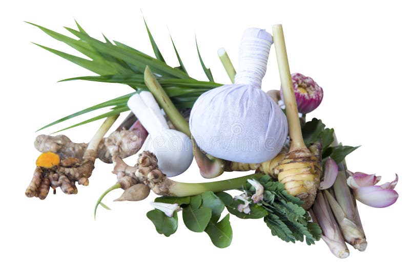 Växt- kompressboll för thai massage och thailändska naturliga örtingredienser för varm den isolerade kompressterapimassage och na royaltyfri foto Växt- kompressboll för thai massage och thailändska naturliga örtingredienser för varm den isolerade kompressterapimassage och na royaltyfri foto