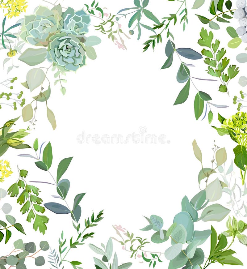 Herbal mix square vector frame. Hand painted plants, branches, leaves, succulents and flowers on white background. Echeveria, eucalyptus, green hygrangea, brunia. Natural card design. Herbal mix square vector frame. Hand painted plants, branches, leaves, succulents and flowers on white background. Echeveria, eucalyptus, green hygrangea, brunia. Natural card design.