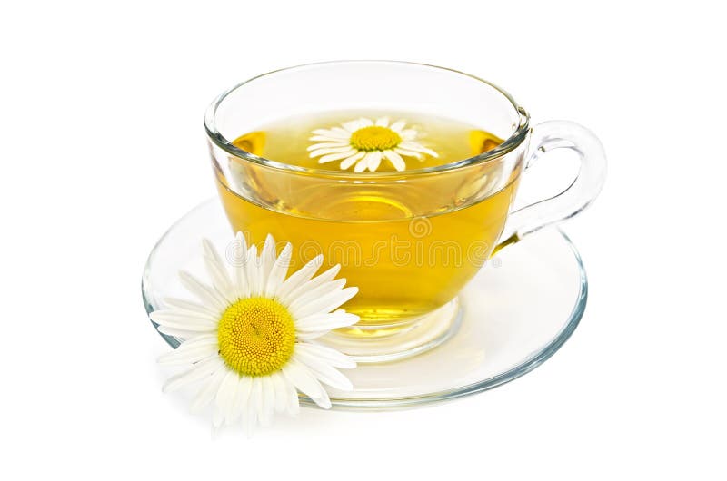 Växt- tea i en glass kopp med tusenskönor arkivbilder Växt- tea i en glass kopp med tusenskönor arkivbilder